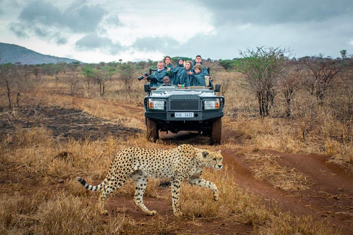 Rhino River Lodge Manyoni Private Game Reserve Exterior photo